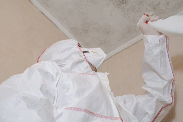 Best Commercial Mold Removal  in Brownsville, TN